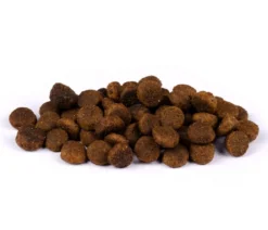 Carnilove Trockenfutter für Katzen Large Breed Adult, Ente & Truthahn