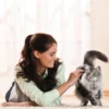 Cativia Katzensnack Katzenmilch, 24 x 95 ml