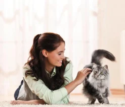 Cativia Katzensnack Katzenmilch, 24 x 95 ml