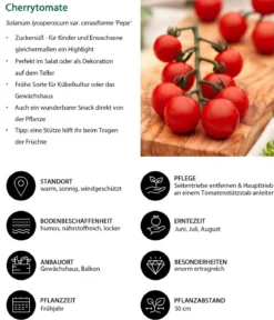 Cherrytomate 'Pepe'