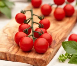 Cherrytomate 'Pepe'
