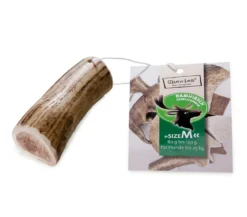 Chewies Hundesnack Geweihsnack Damhirsch