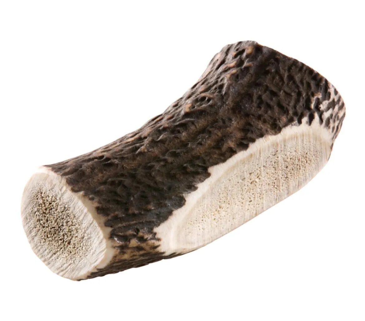 Chewies Hundesnack Geweihstange