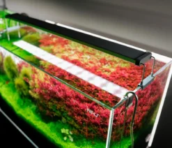 Chihiros Aquariumbeleuchtung LED-System B Serie