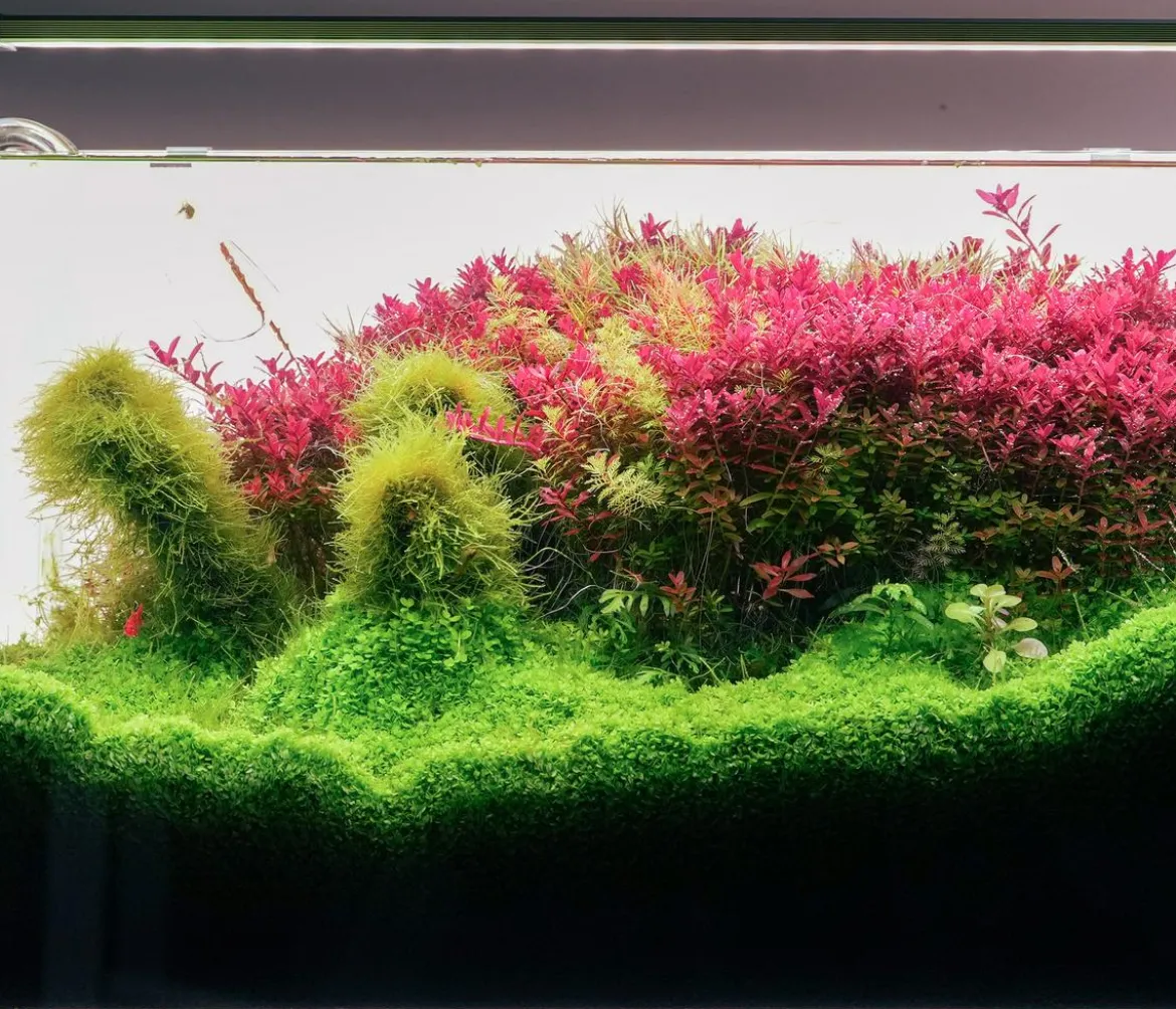 Chihiros Aquariumbeleuchtung LED-System B Serie