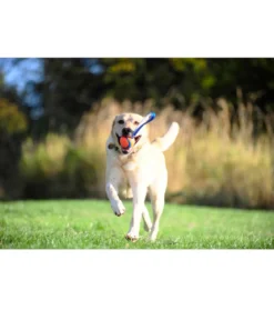 Chuckit!® Hundespielzeug Ultra Tug mit Handschlaufe