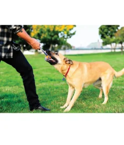 Chuckit!® Hundespielzeug Ultra Tug mit Handschlaufe