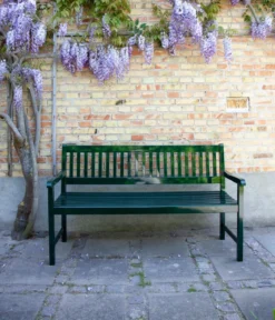 Cinas Gartenbank Brighton
