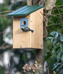 CJ Wildlife Raubtierschutz-Nistkasten Seattle, ca. B19,5/H25,3/T23,7 cm