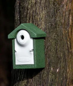 CJ Wildlife WoodStone® Nistkasten Holzbeton, Einflugloch ca. Ø28 mm, grün