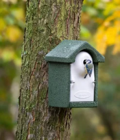 CJ Wildlife WoodStone® Nistkasten Holzbeton, Einflugloch ca. Ø28 mm, grün