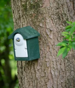 CJ Wildlife WoodStone® Nistkasten Holzbeton, Einflugloch ca. Ø32 mm, grün