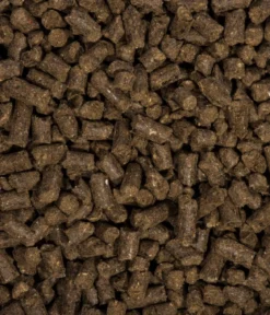 COMPO BIO Universal Langzeit-Dünger mit Schafwolle, 2 kg