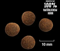 CRAVE™ Trockenfutter für Hunde Adult