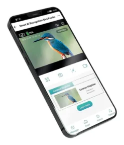 Croci Nistkasten Smart Wi-Fi, inkl Kamera, ca. B19,5/H32,3/T20 cm