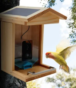 Croci Vogelfutterhaus Smart Wi-Fi, inkl. Kamera, ca. B23/H32,5/T24 cm