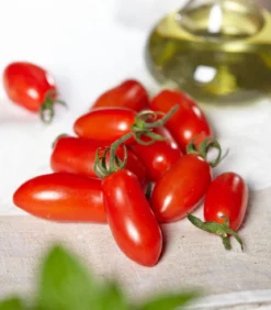 Datteltomate