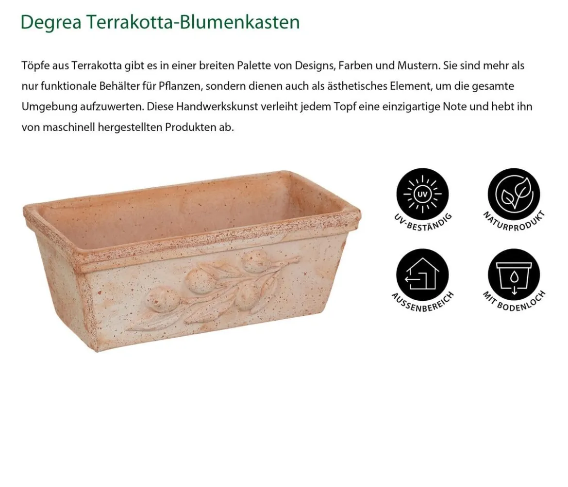 Degrea Terrakotta-Blumenkasten mit Olivendekor