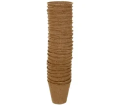 Dehner Anzuchttöpfe für Pflanzen, 6 cm, 24 Stk.