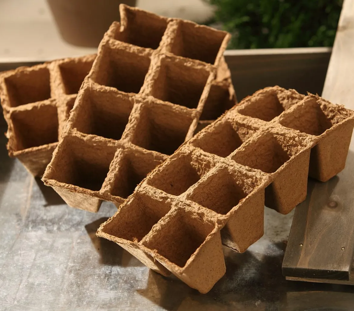 Dehner Anzuchttöpfe für Pflanzen, 6 x 6 cm, 24 Stk.