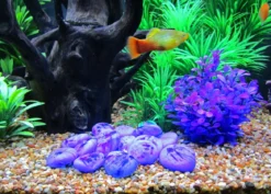 Dehner Aqua Aquariumdeko Glas-Steine, 750 g