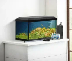Dehner Aqua Aquarium-Set Aqua Start 60, schwarz