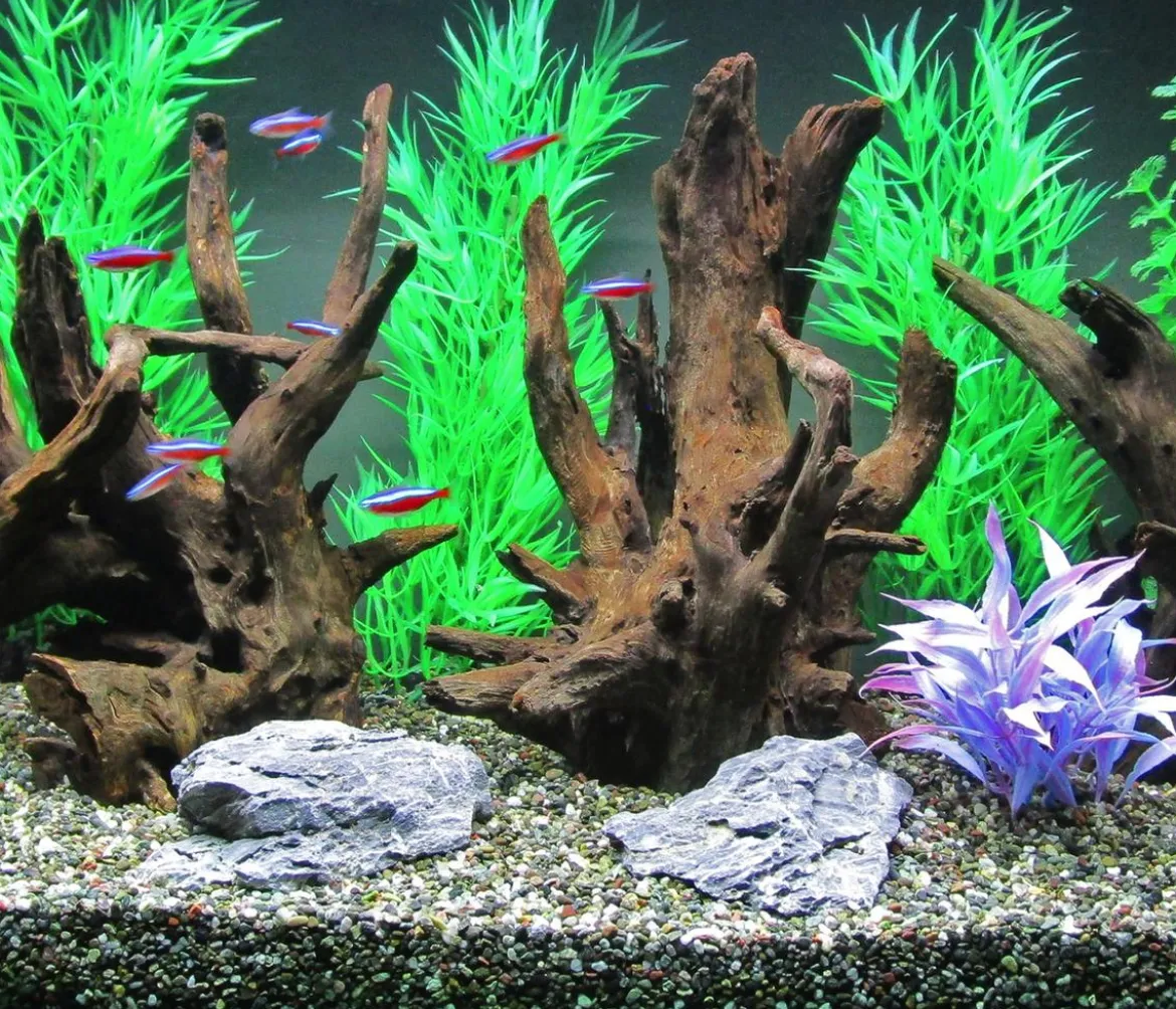 Dehner Aqua Corbo-Wurzel nano, ca. B14/H20/T12 cm