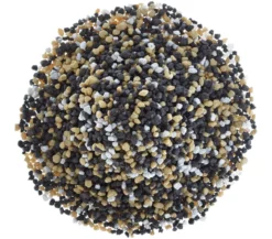 Dehner Aqua Premium Farbkies Kenia, 2-3 mm
