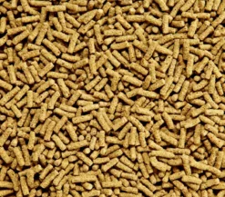 Dehner Aqua Teichfischfutter Sticks