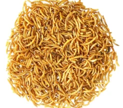 Dehner Aqua Teichfischsnack Mehlwürmer, 160 g