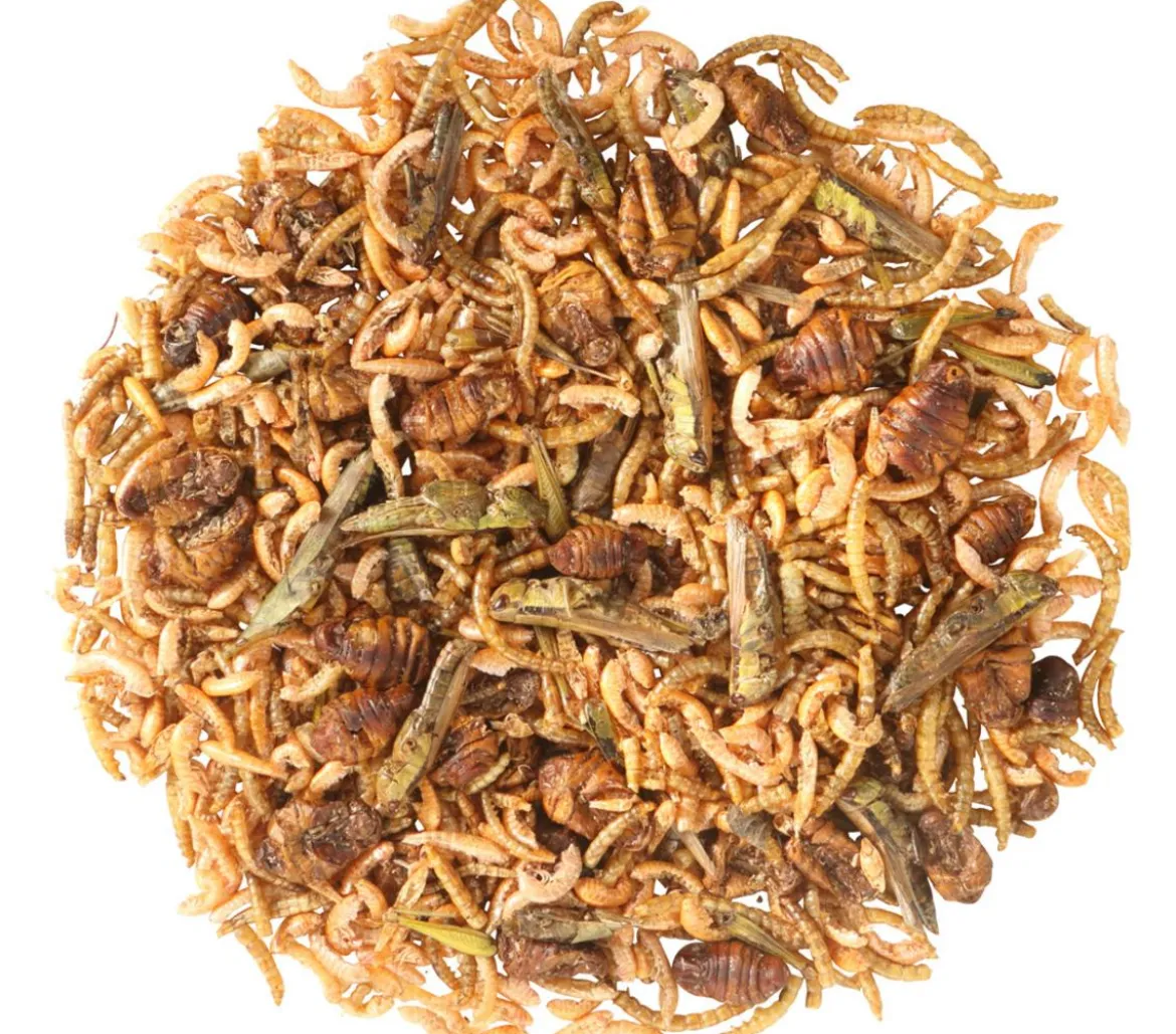 Dehner Aqua Teichfischsnack Protein-Mix, 200 g