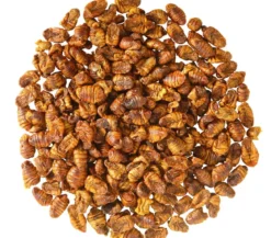 Dehner Aqua Teichfischsnack Seidenraupen, 300 g