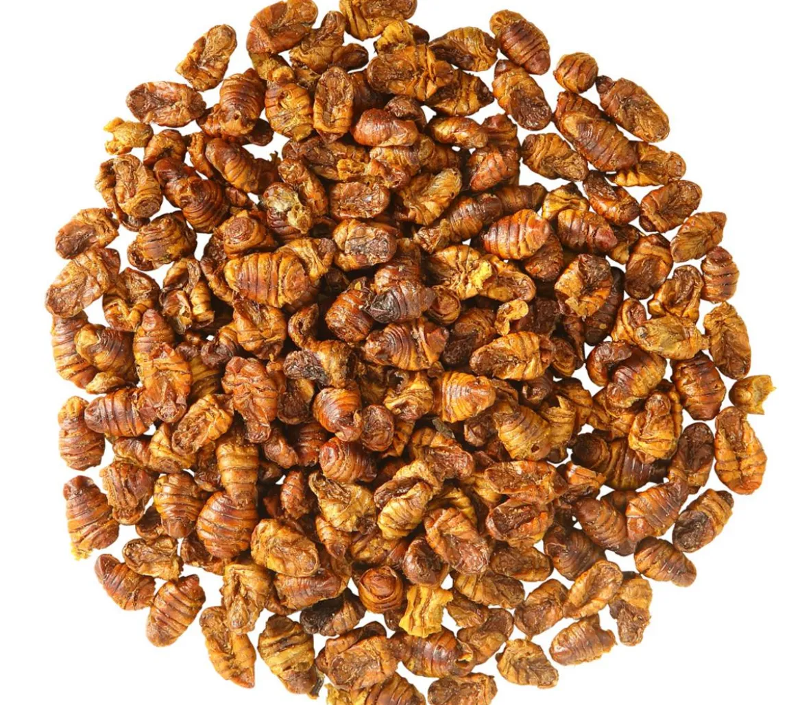 Dehner Aqua Teichfischsnack Seidenraupen, 300 g