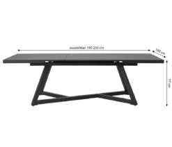 Dehner Ausziehtisch Monaco, ca. B190-250/H77/T100 cm