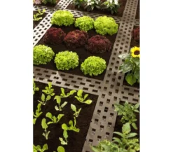 Dehner Beetplatten für den Garten, 5 Stk.
