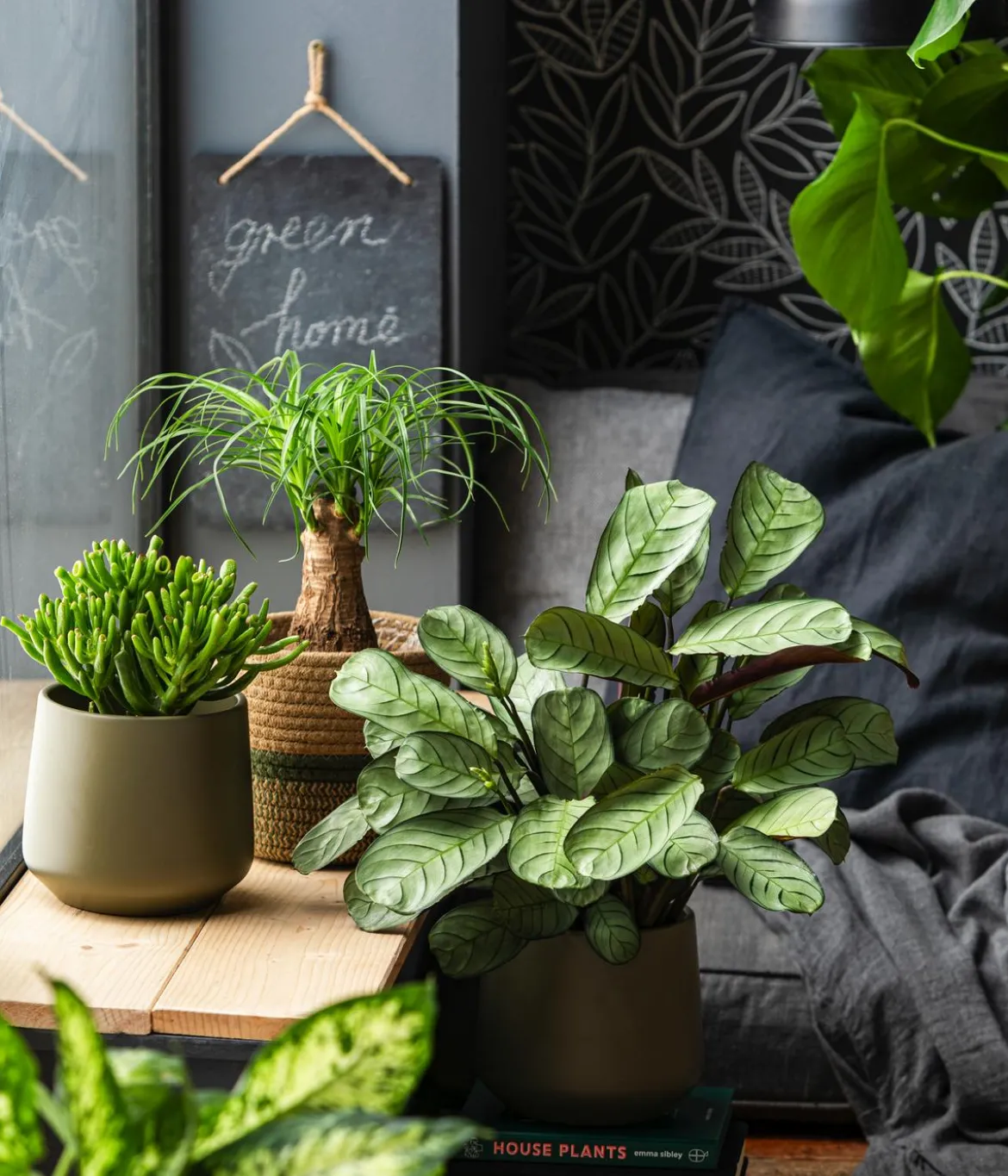 Dehner Übertopf-Set Green Feeling, 3-teilig