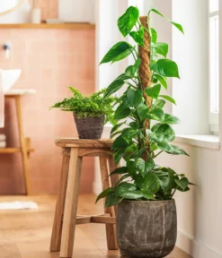 Dehner Übertopf-Set Green Living, 2-teilig
