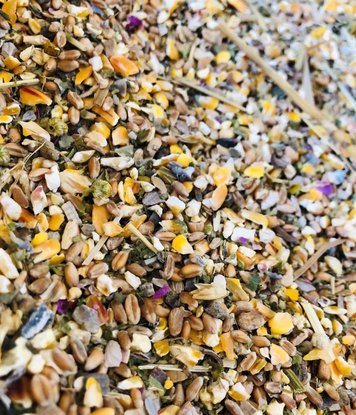 Dehner Best Nature Bio-Hühnerfutter Vital