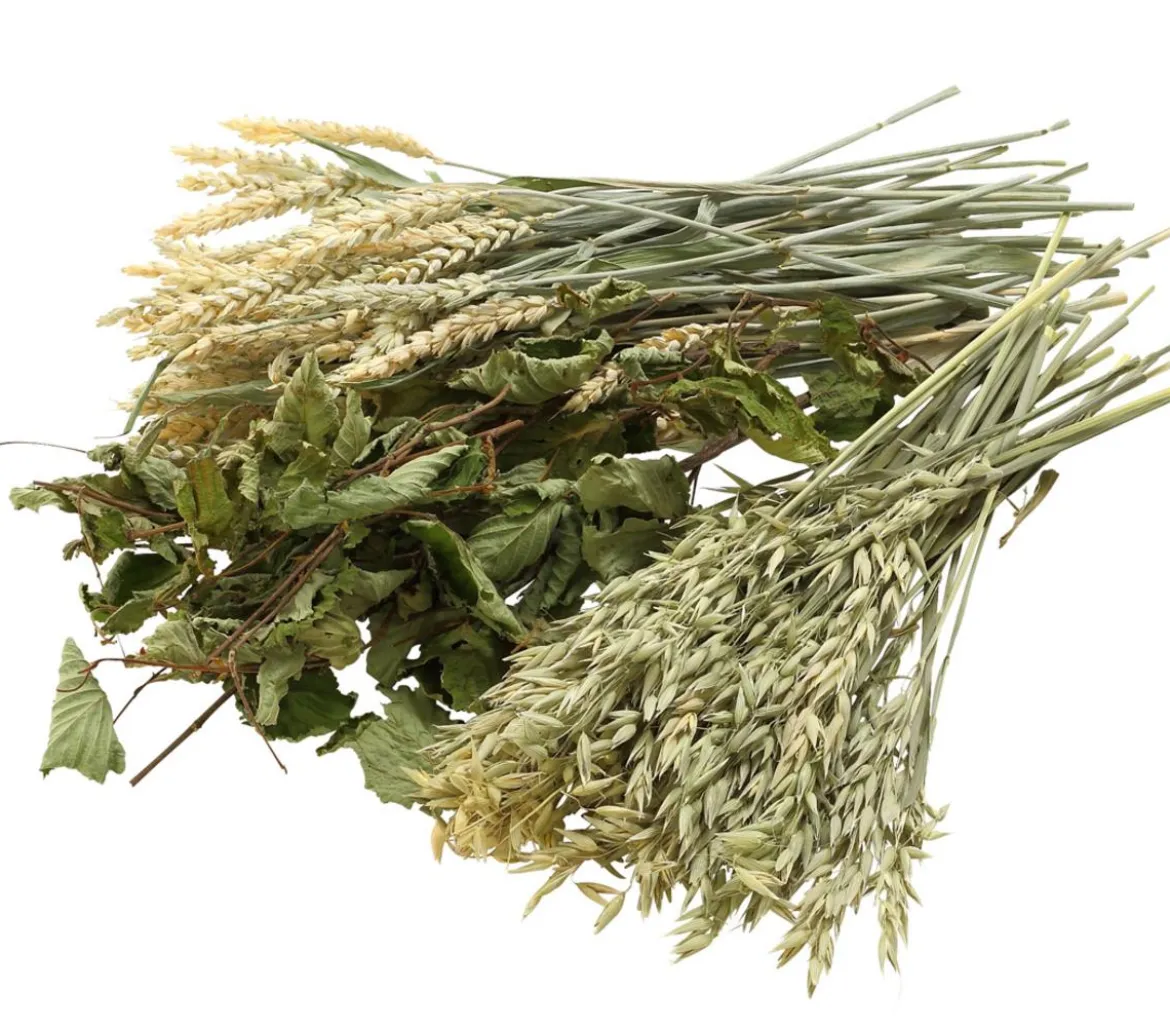 Dehner Best Nature Hafer, 75 g