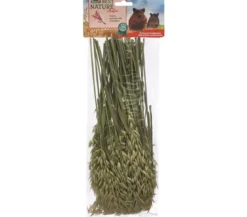Dehner Best Nature Hafer, 75 g