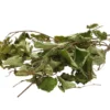 Dehner Best Nature Haselnuss, 25 g