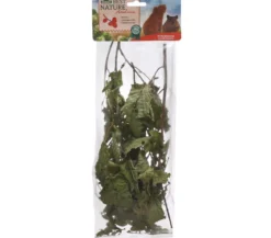 Dehner Best Nature Haselnuss, 25 g