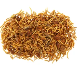 Dehner Best Nature Insekten-Mix, 60 g
