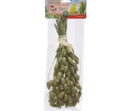 Dehner Best Nature Kanariensaat, 50 g
