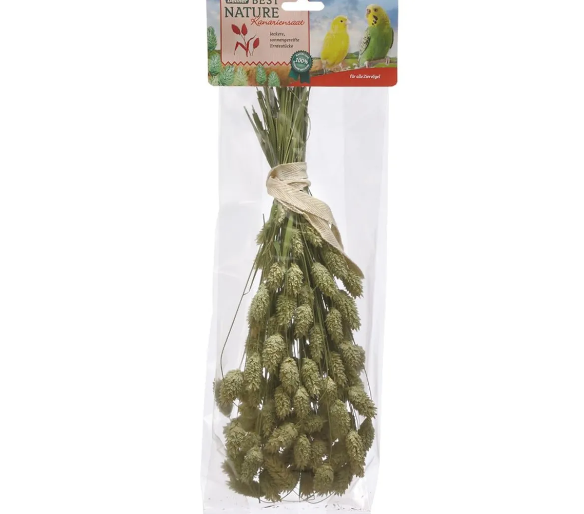 Dehner Best Nature Kanariensaat, 50 g