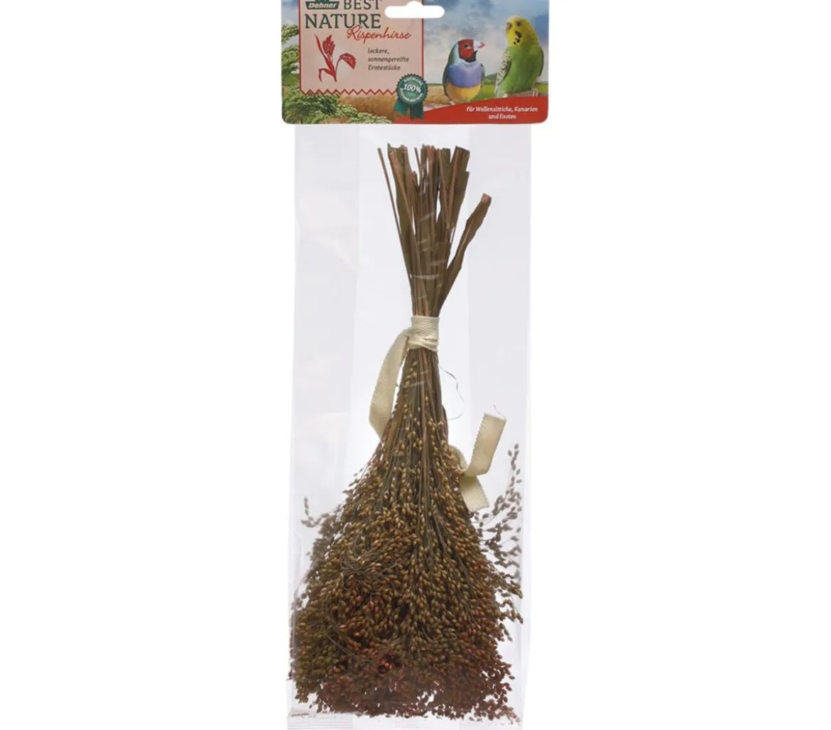 Dehner Best Nature Rispenhirse, 50 g