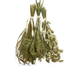 Dehner Best Nature Rispenhirse, 50 g