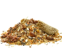 Dehner Best Nature Vogelfutter Großsittiche