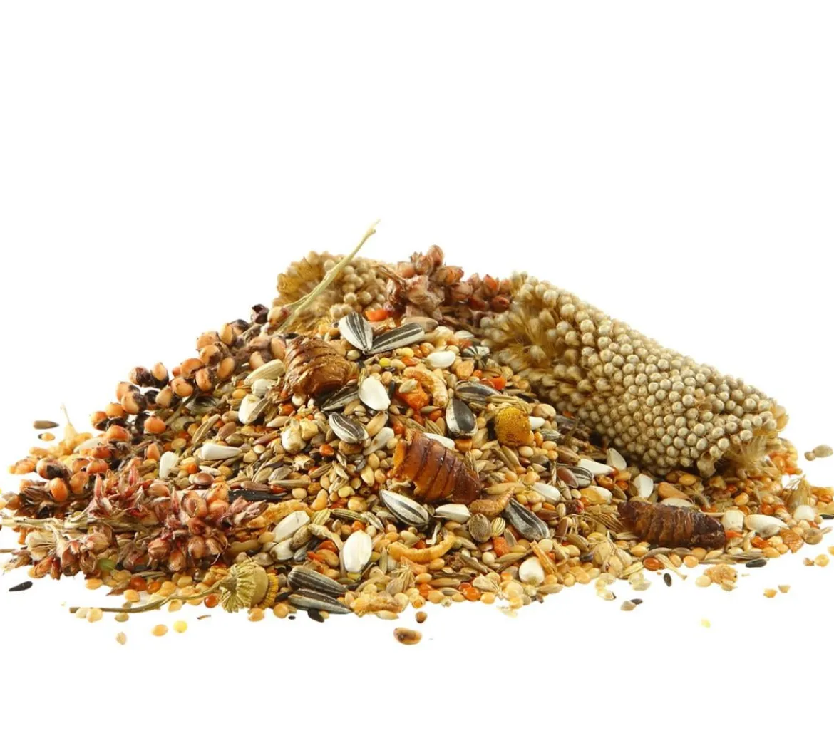 Dehner Best Nature Vogelfutter Großsittiche
