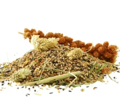 Dehner Best Nature Vogelfutter für Kanarien